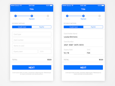 iOS Basic Payment View