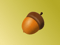 Acorn