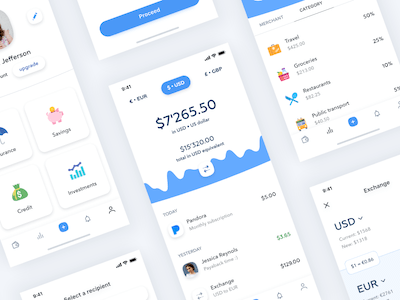 Banking App Concept