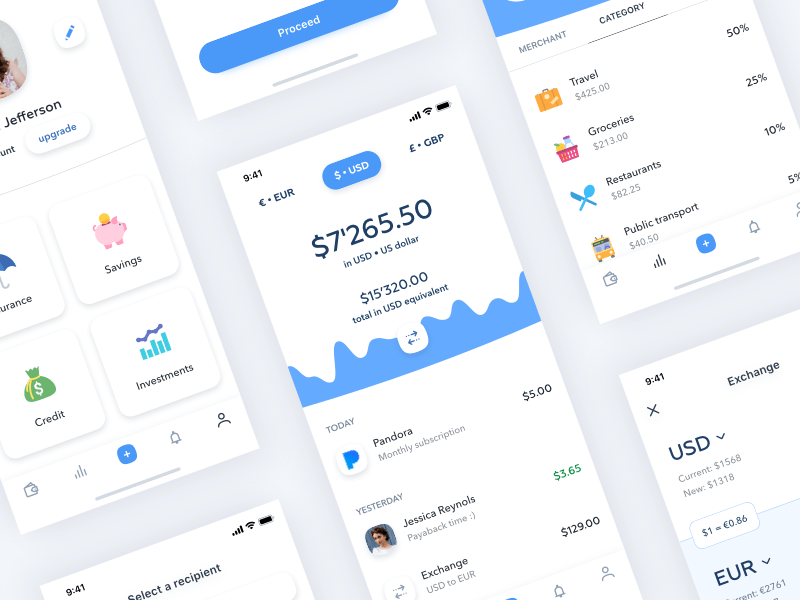 Banking App Concept