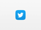 iOS 7 Twitter Icon